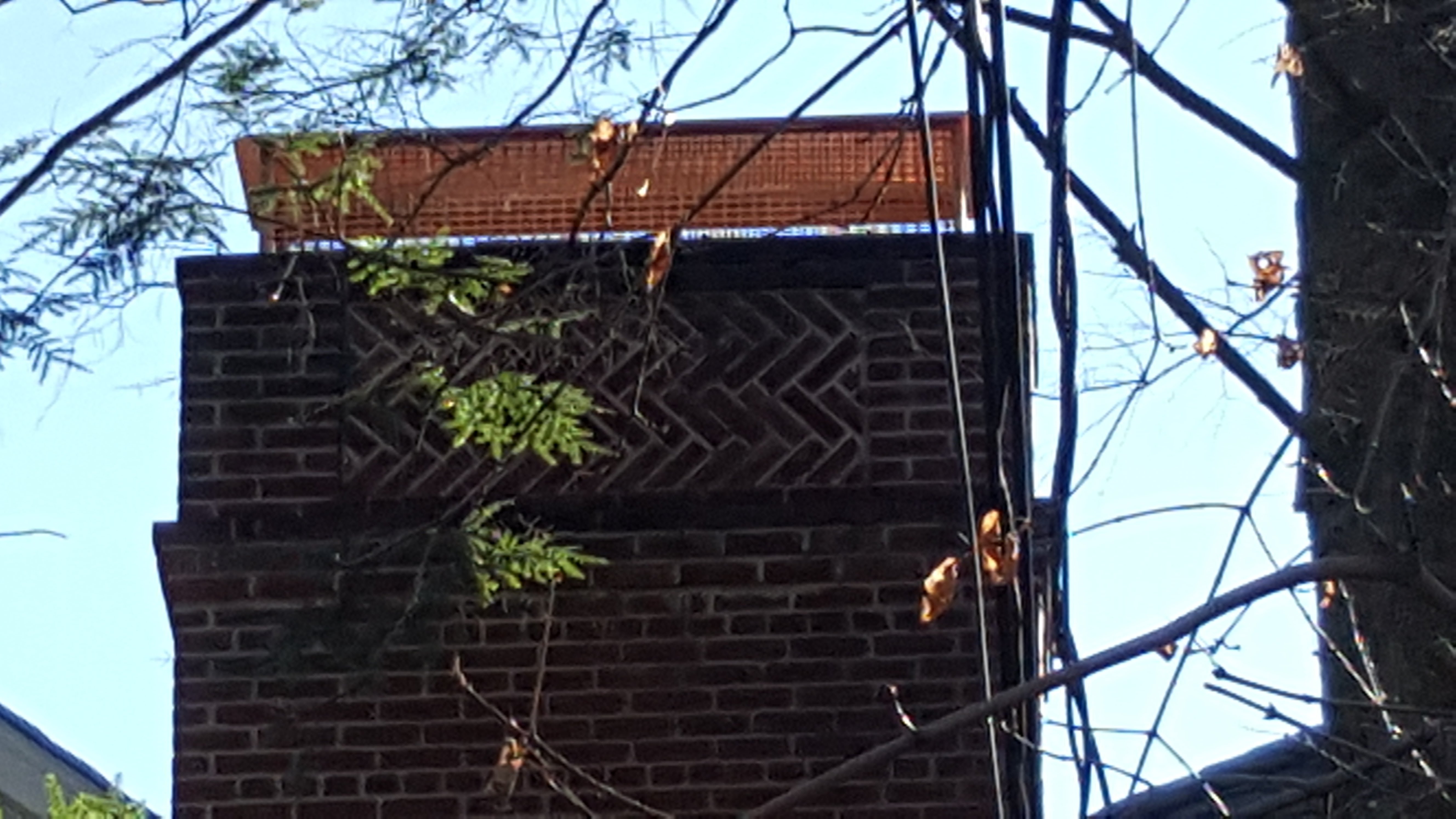 Animal-proof chimney cap protecting home in Manhasset, New York